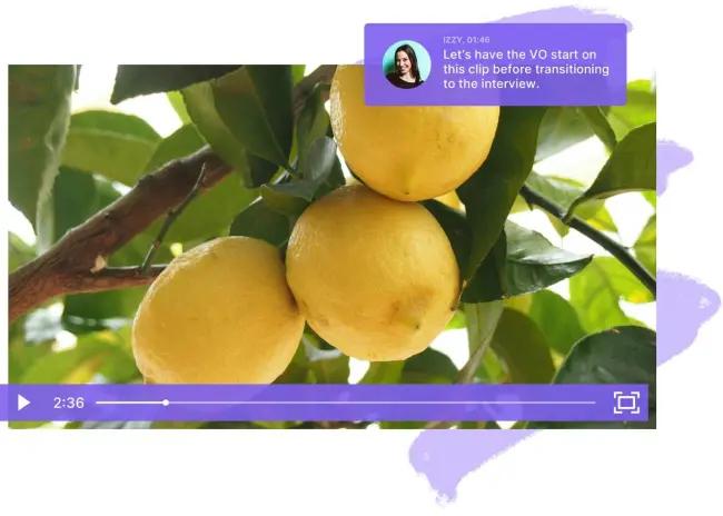 Wistia Collaboration Comment Example