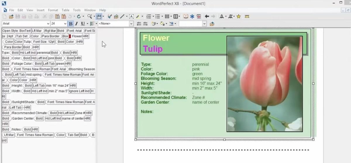 WordPerfect Office productivity software