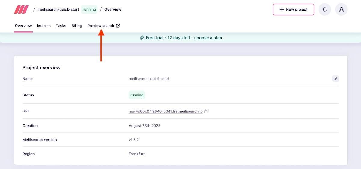 Elasticsearch alternatives: arrow pointing at the Preview search option in Meilisearch
