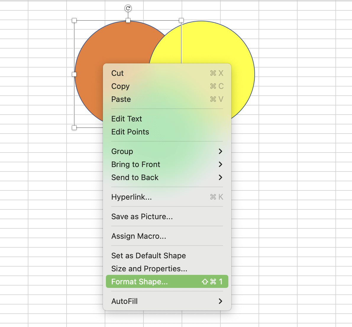 Advanced shape formatting options in Microsoft Excel