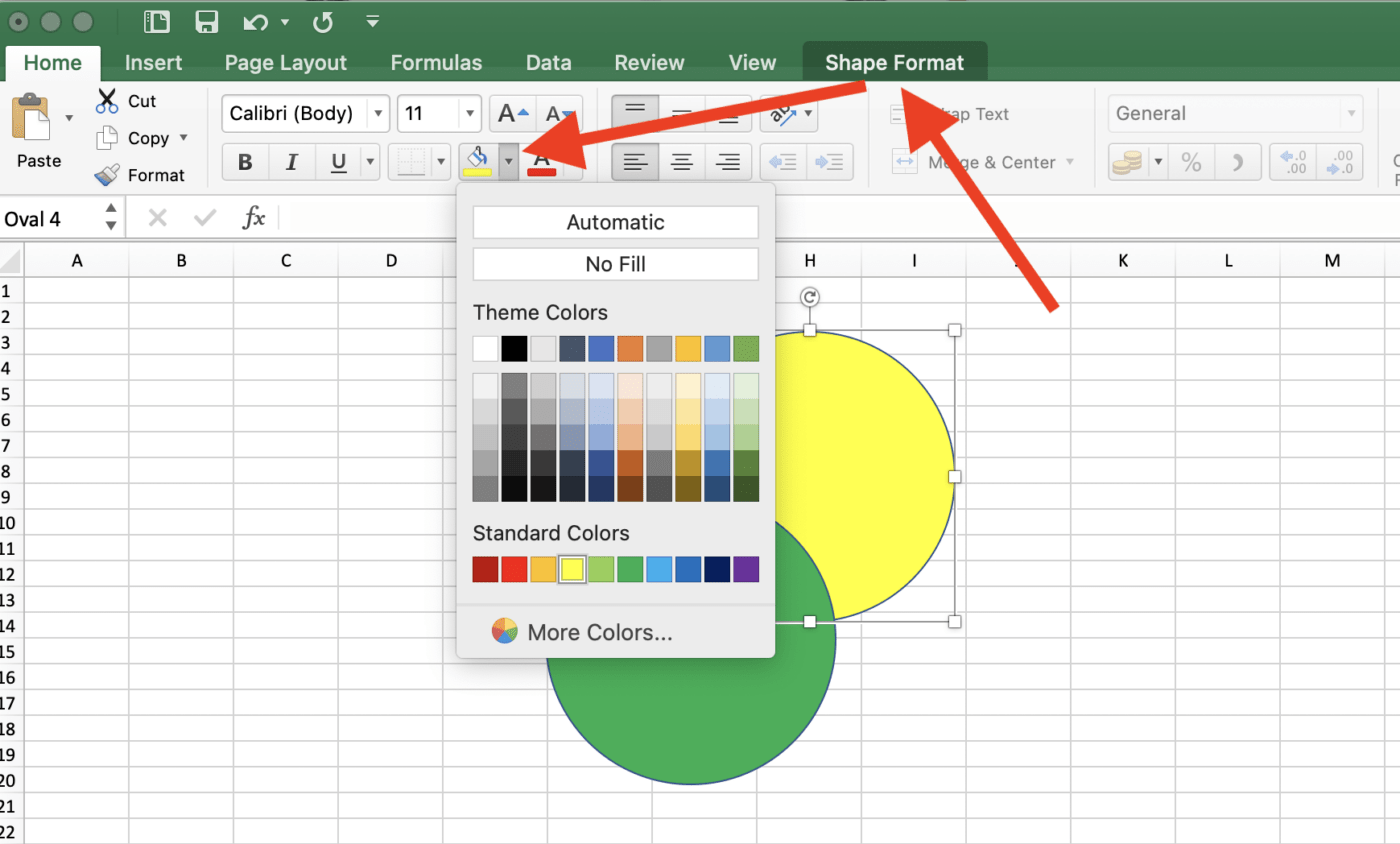 Using the ‘Shape Format’ tab to fill color in and outline of the circles in Microsoft Excel