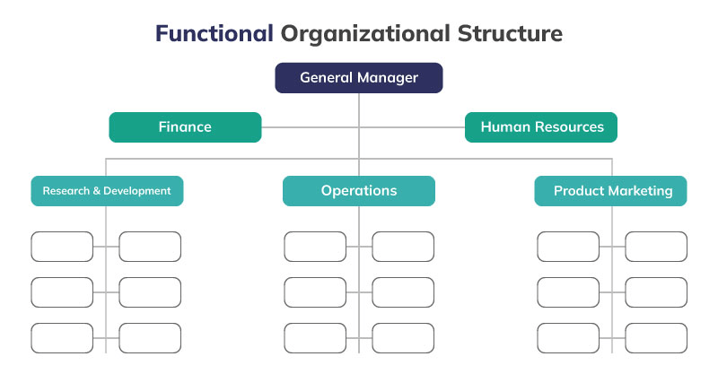 Functional organizational structure