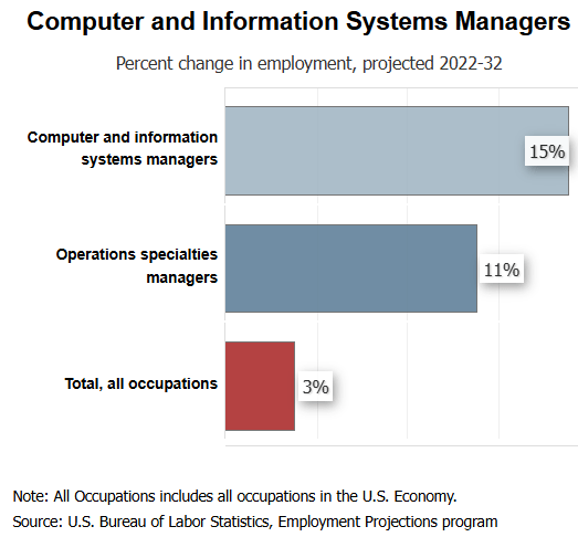 Outlook of the IT management field