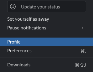 Slack Profile