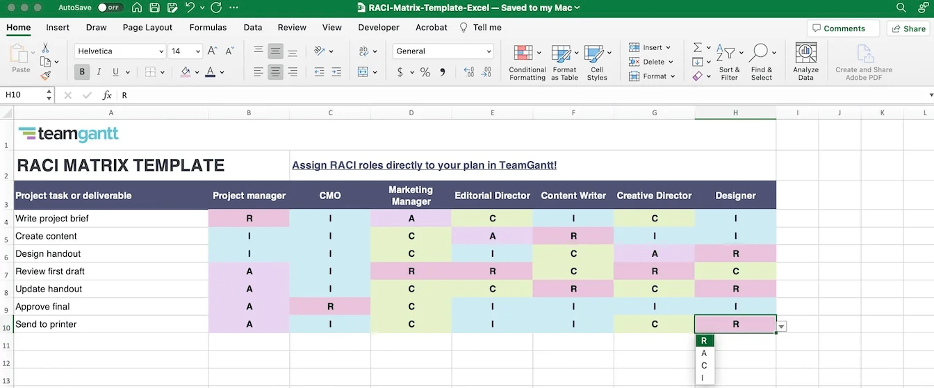 5. Responsibility Assignment Matrix Assignment by TeamGantt