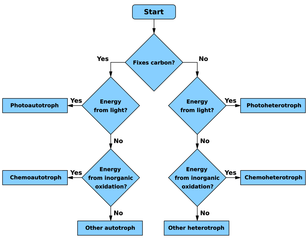 Flow chart