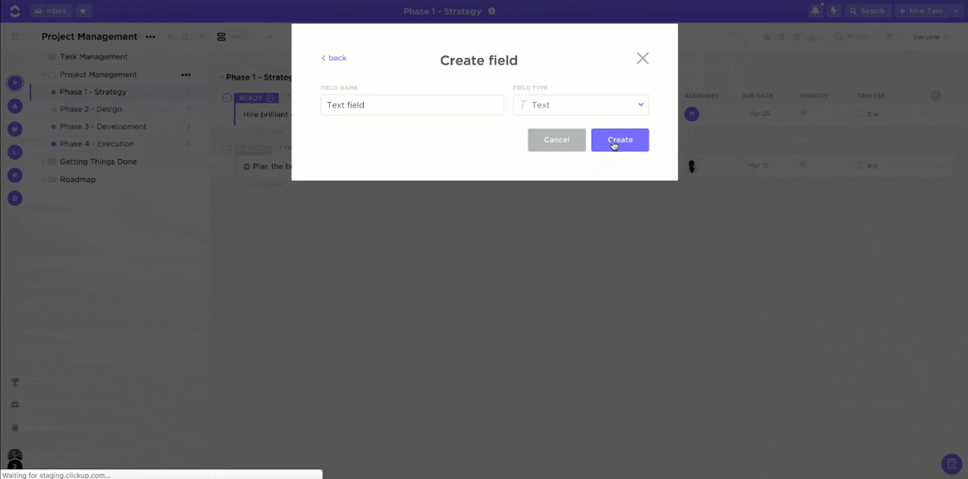 ClickUp Custom Fields