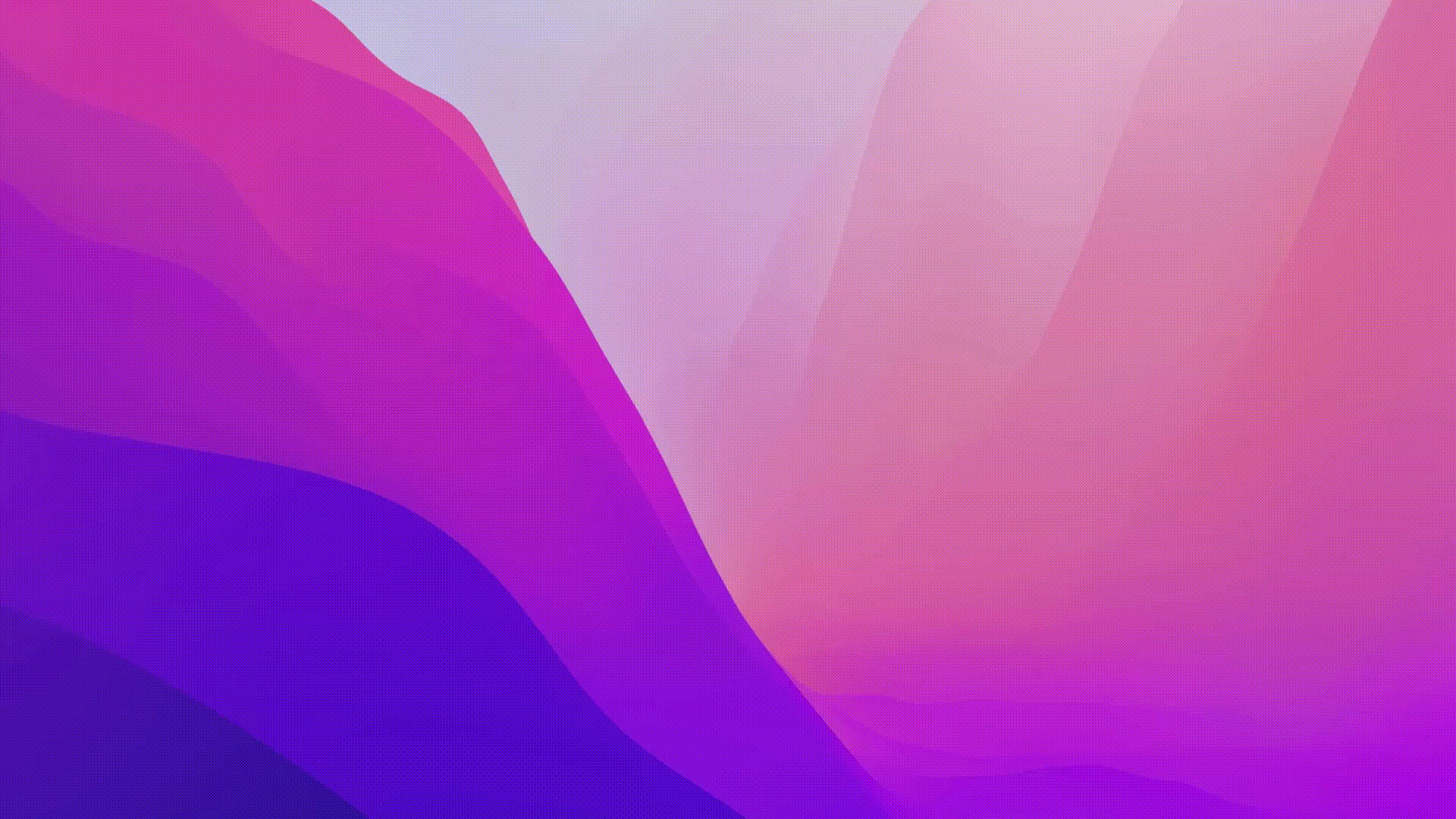 ClickUp-Uni-Search