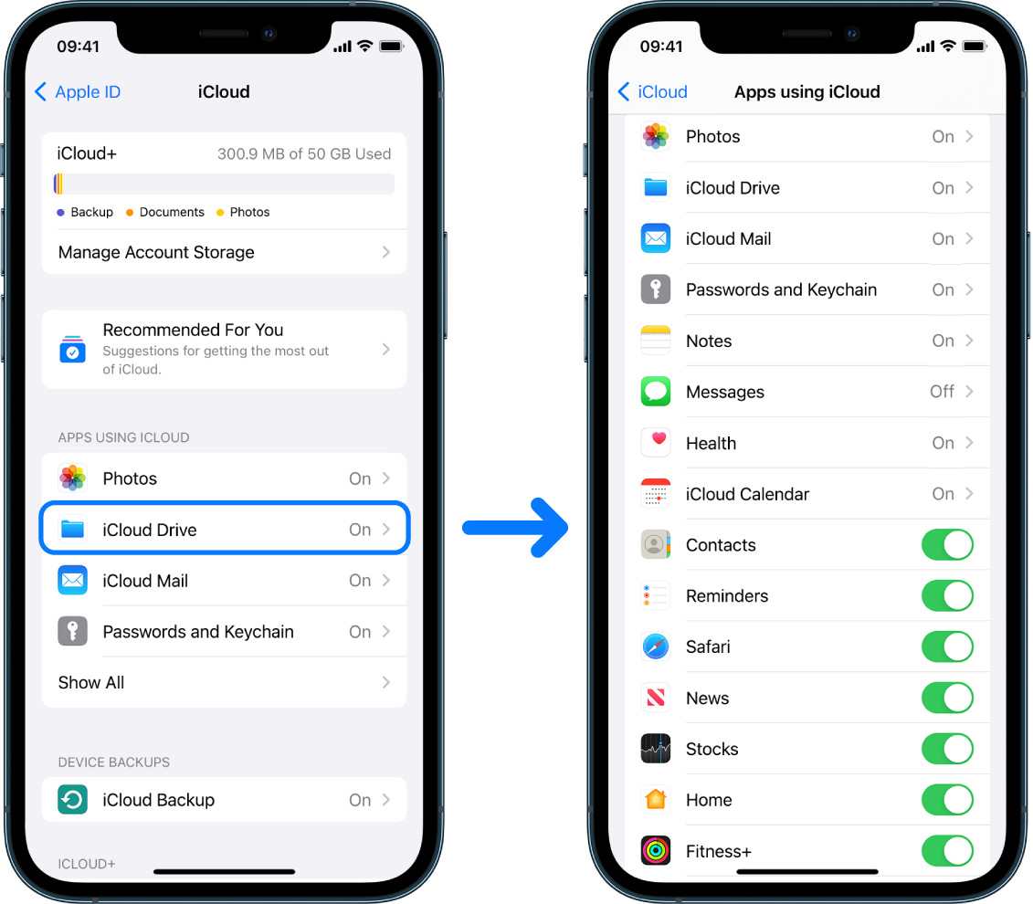 iCloud Dashbboard : File Sharing Software 